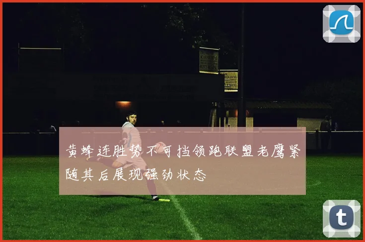 黄蜂连胜势不可挡领跑联盟老鹰紧随其后展现强劲状态