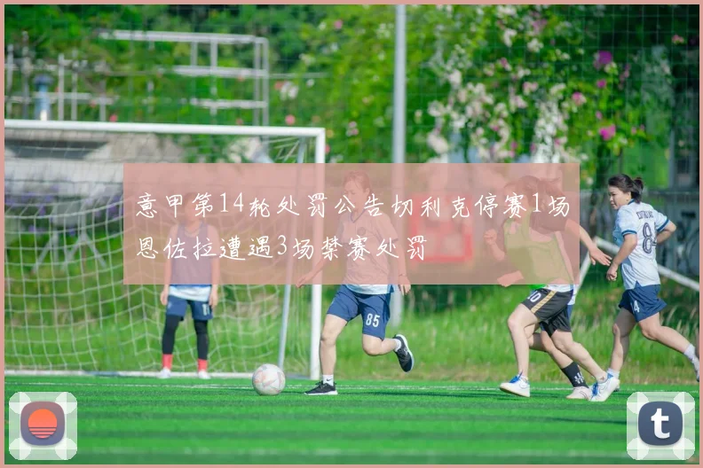 意甲第14轮处罚公告切利克停赛1场恩佐拉遭遇3场禁赛处罚