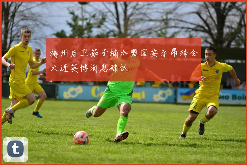 梅州后卫茹子楠加盟国安李昂转会大连英博消息确认