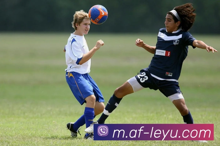 乐鱼体育服务体系