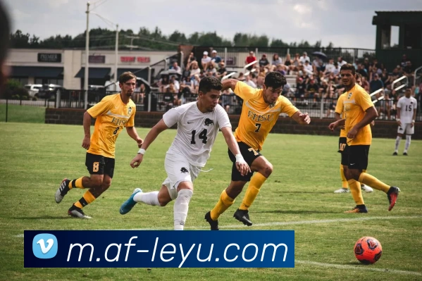 多媒体互动体验